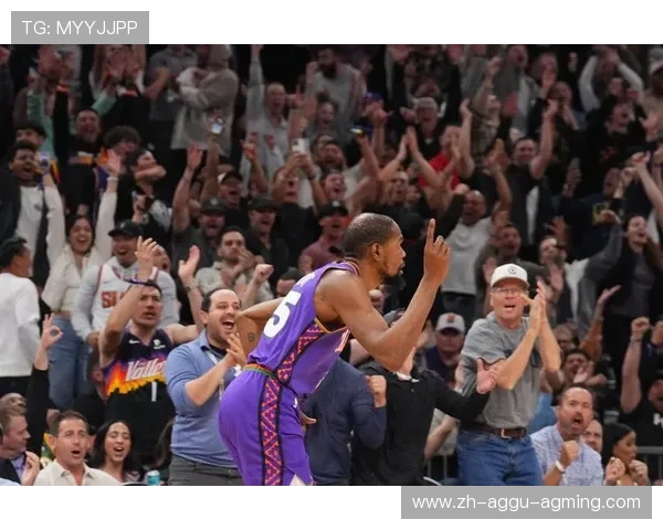 最新火箭队比赛视频资源及高清赛事回放入口