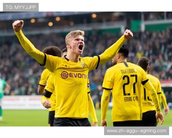 德甲球队比赛气氛分析报告及球迷支持度调查