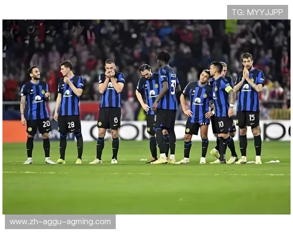 意甲主场球队排名：各队主场战绩与氛围对比