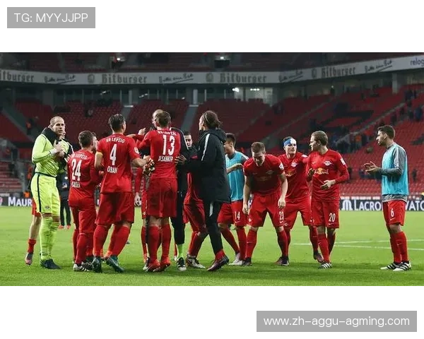 彭马赞助的德甲球队名单及合作亮点解析